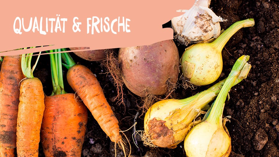 kita_apetito_qualitaet_frische